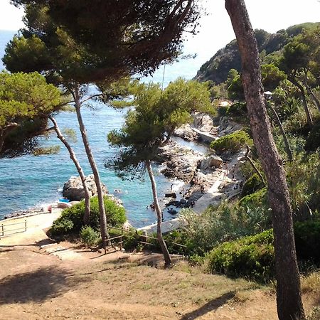 Apartamento Sol- Fanals Apartman Lloret de Mar Kültér fotó
