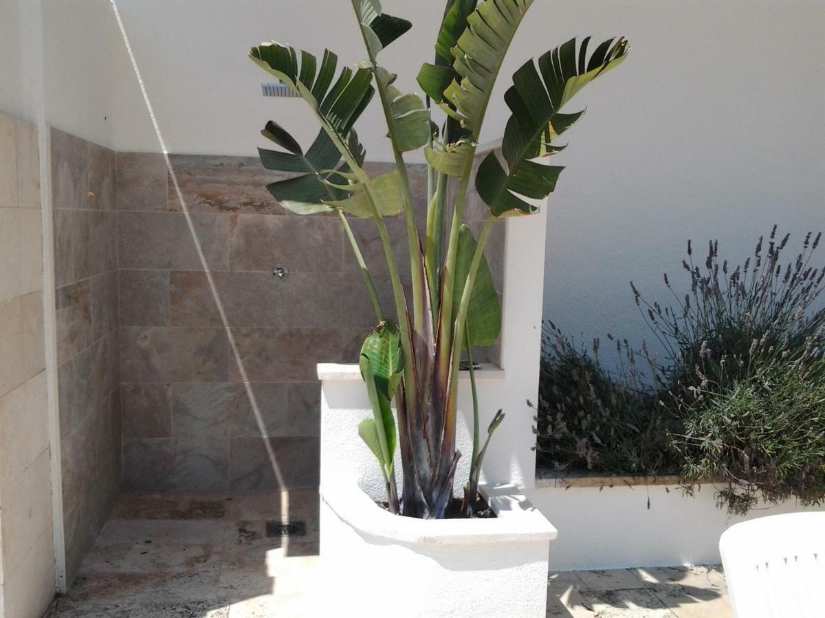 Apartamento Sol- Fanals Apartman Lloret de Mar Kültér fotó